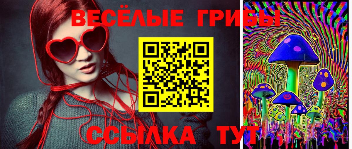 Псилоцибиновые грибы прущие грибы Кизляр