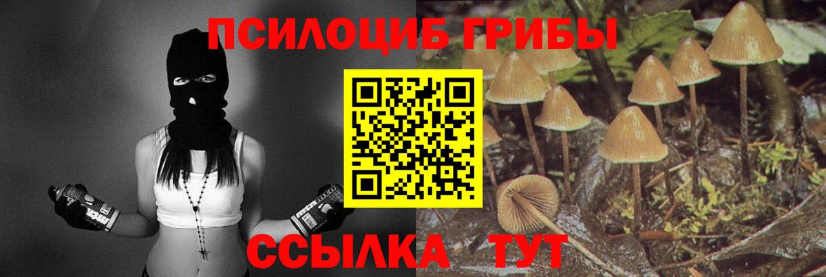 Псилоцибиновые грибы Magic Shrooms  Галлюциногенные грибы ЛСД  Вход с VPN  даркнет сайт  Кизляр 